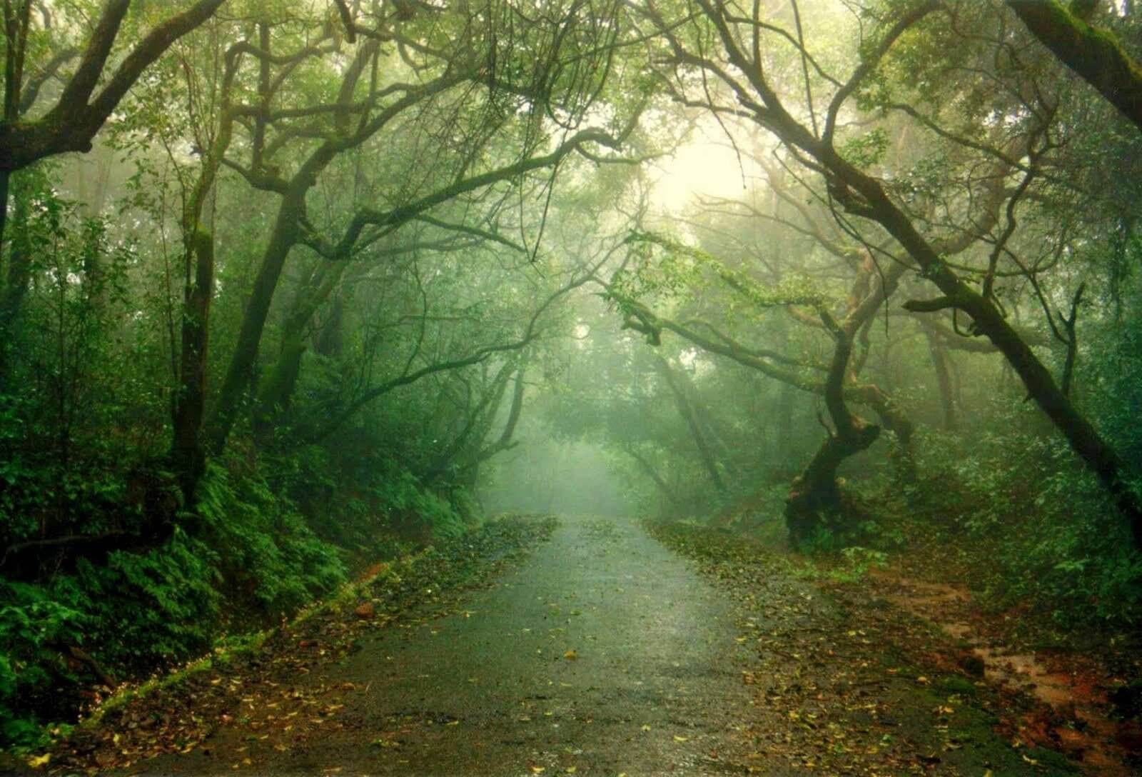 Mahableshwar Panchgani Sightseeing 