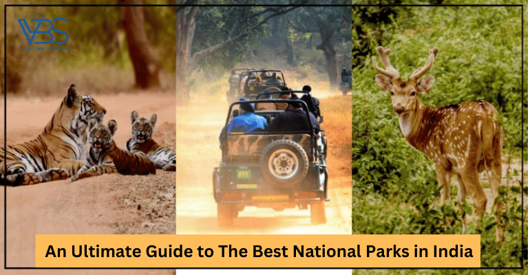 Road Trip Destinations | Travel Agency In Pune