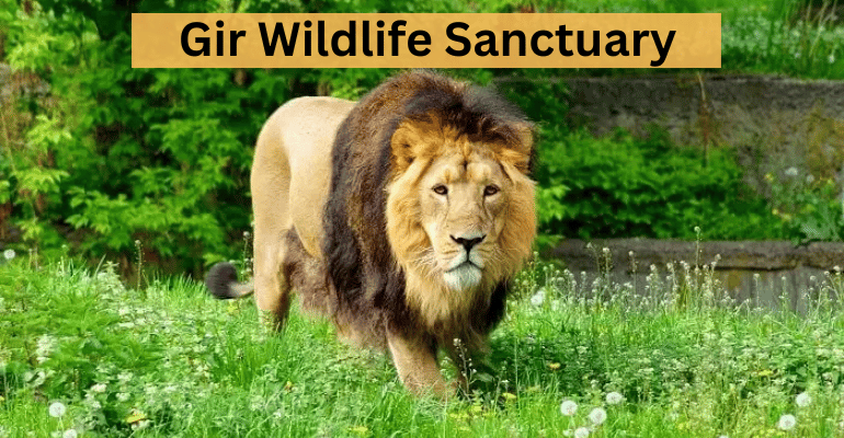 Best National Parks In India | Travolex