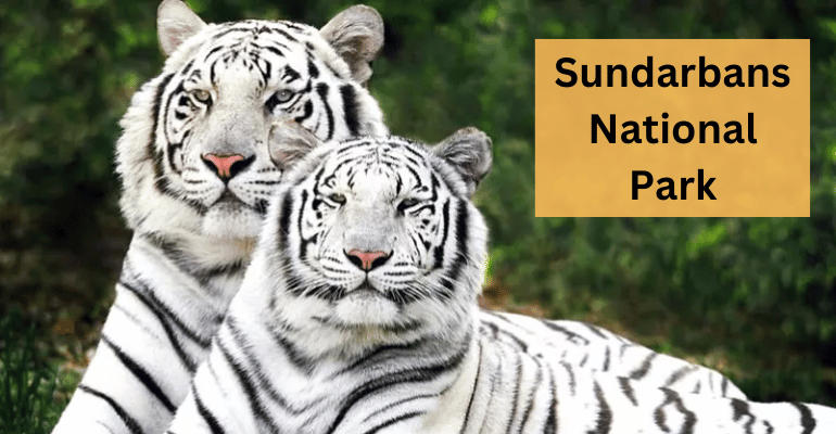 Best National Parks In India | Travolex