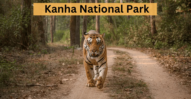 Best National Parks In India | Travolex