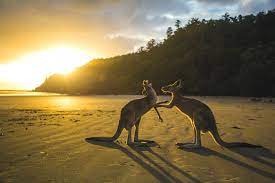 Australia Holiday From India